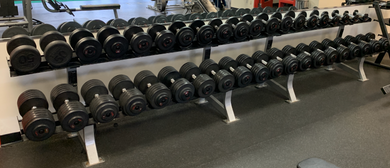 GPI Dumbell Set 5 - 100 Pro Style with 2 Hammer Strength 2-Tier Racks